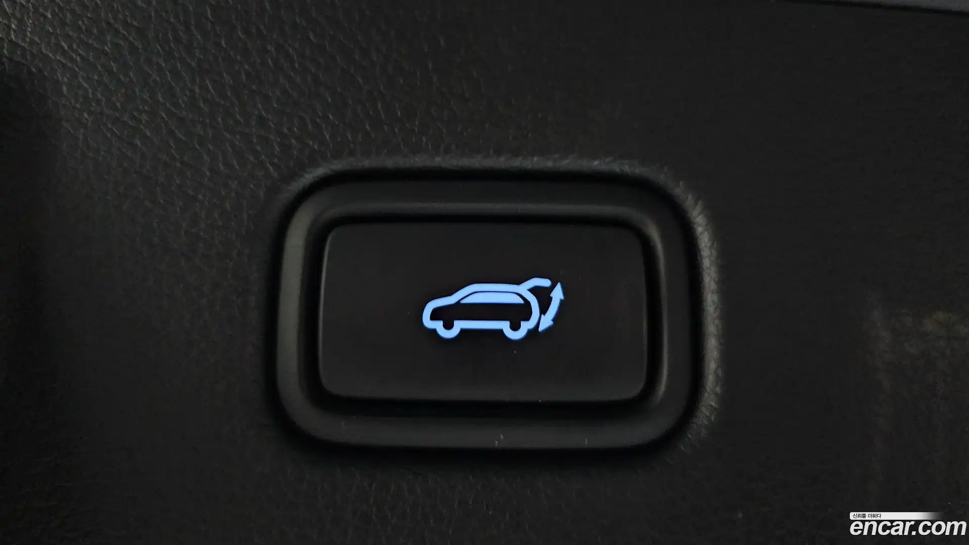 Palisade Hyundai 2023.3-OPTION-021