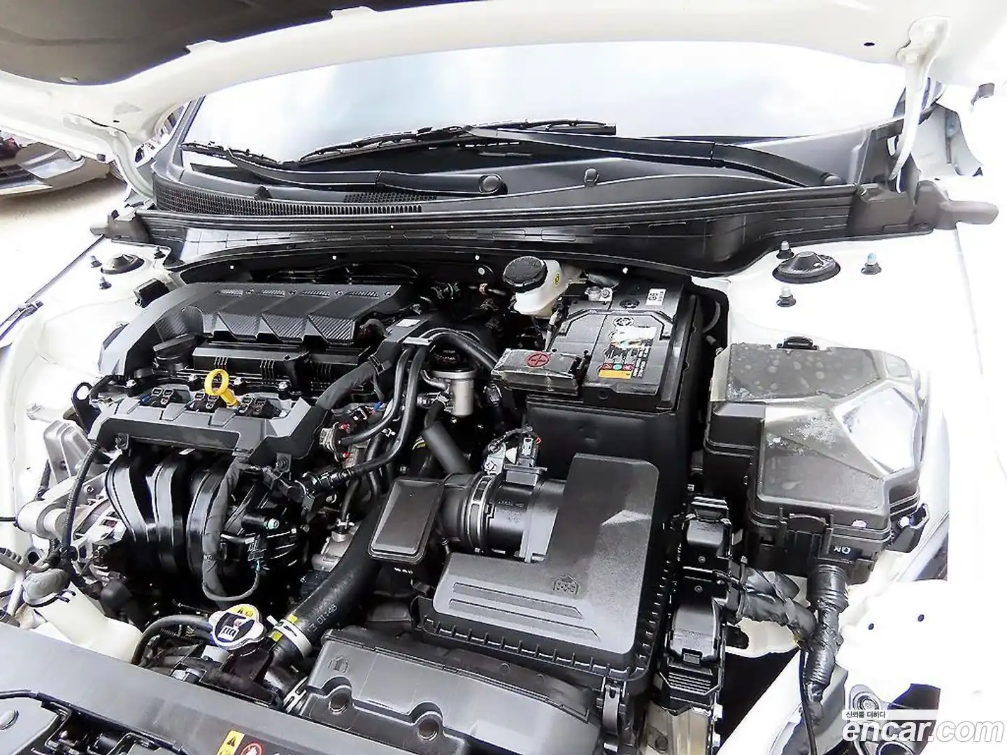 AVANTE Hyundai 2024.9-OPTION-022