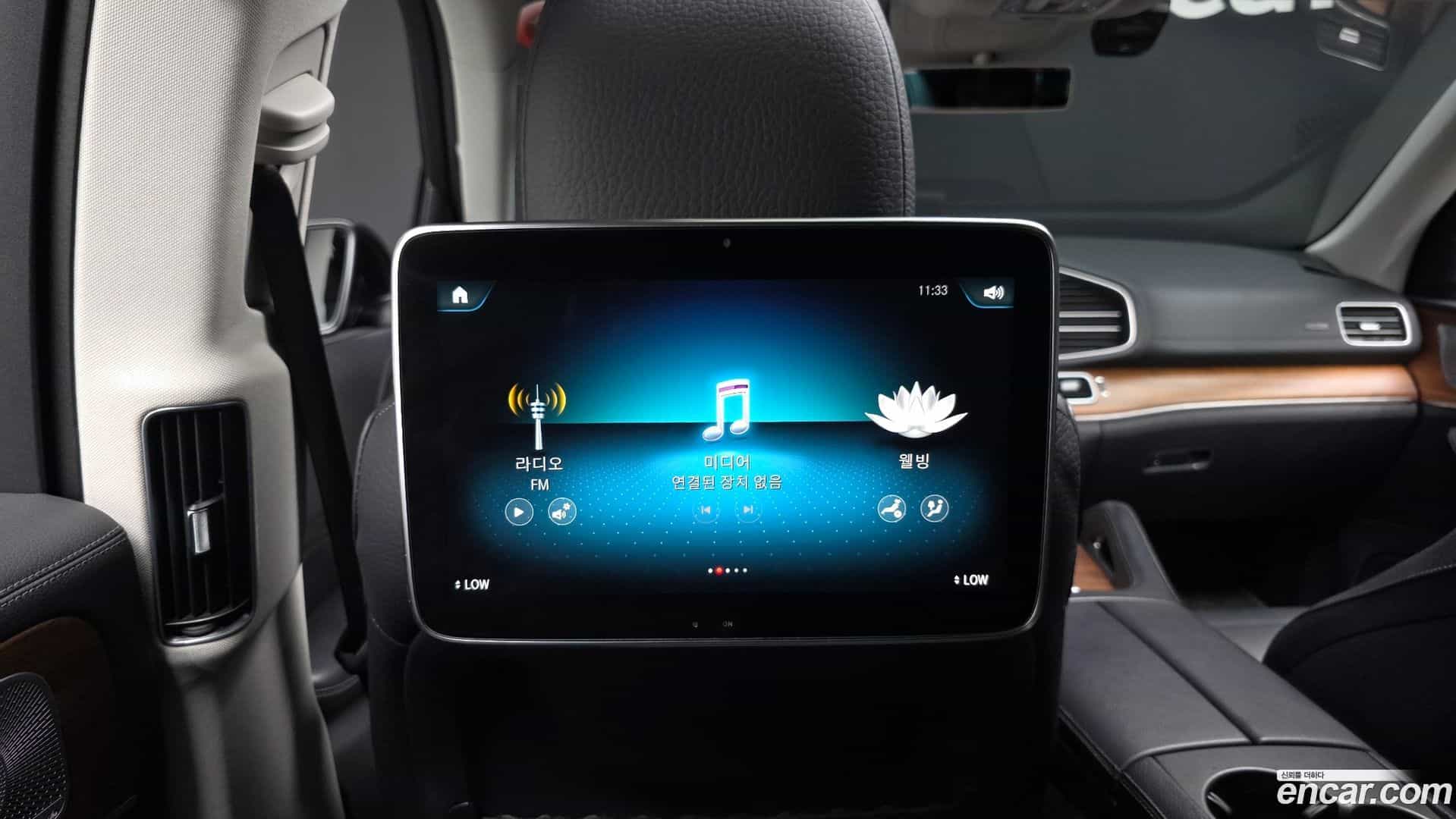 GLS-Class Mercedes-Benz 2020.11-OPTION-049