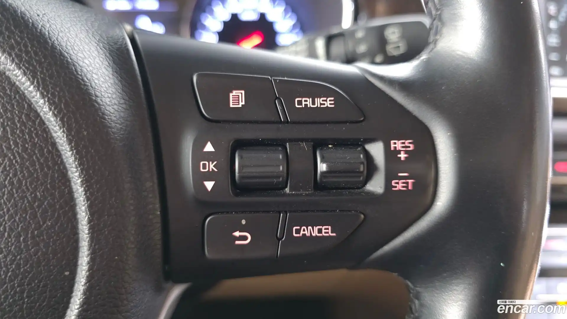 Canival Kia 2019.5-OPTION-020