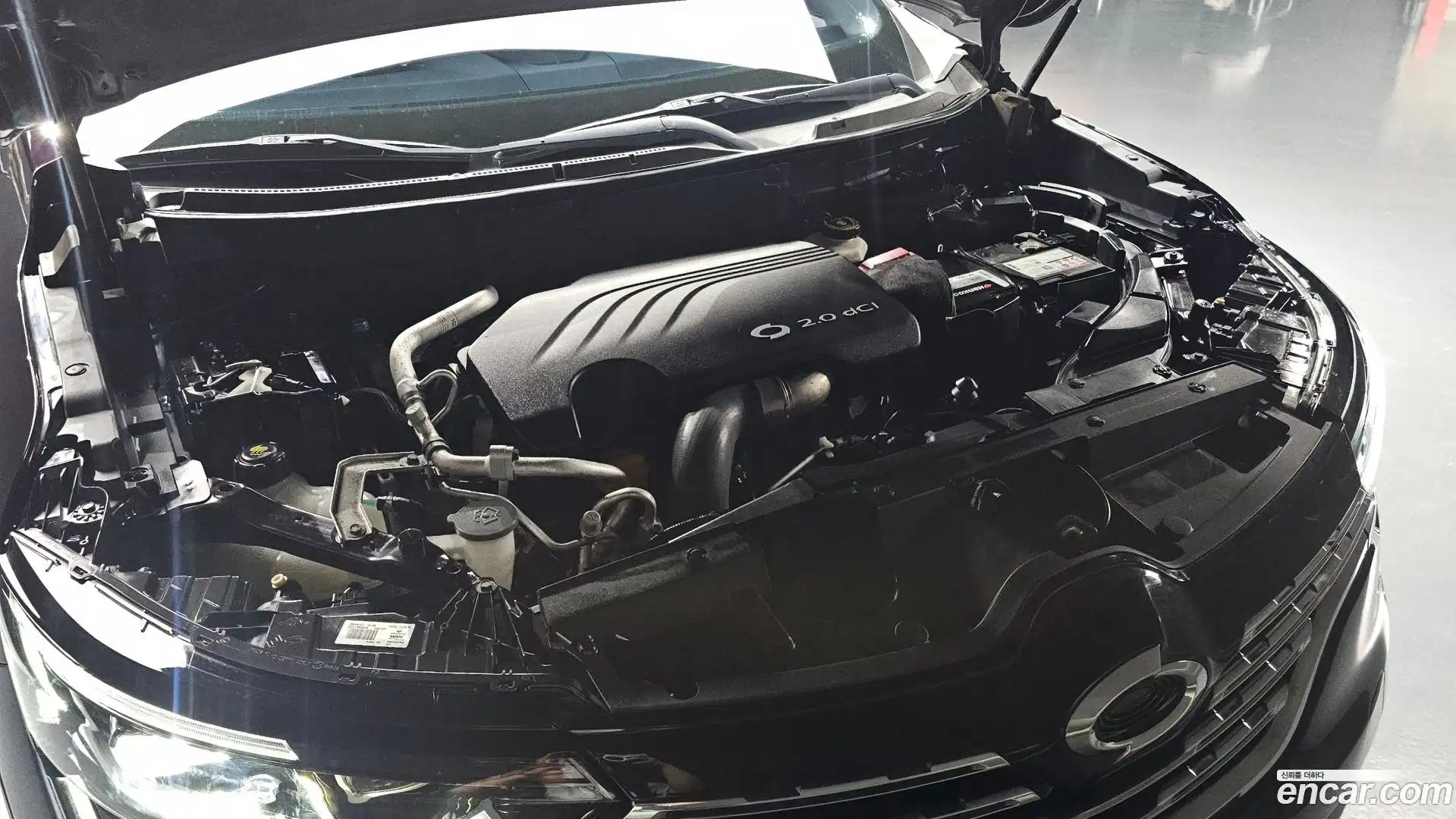 QM6 Renault Korea 2019.2-OUTER-006
