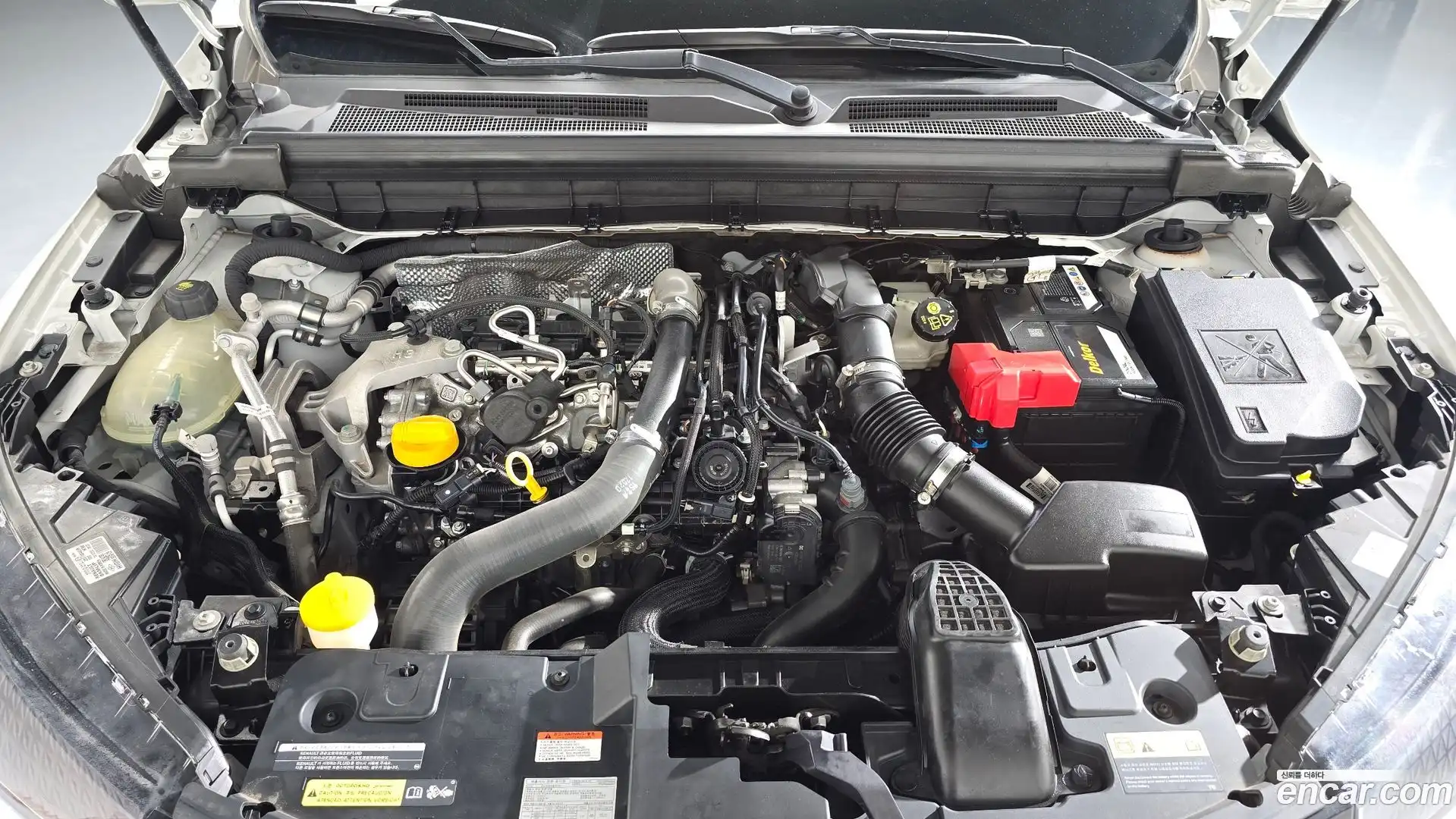 XM3 Renault Korea 2020.5-OUTER-006