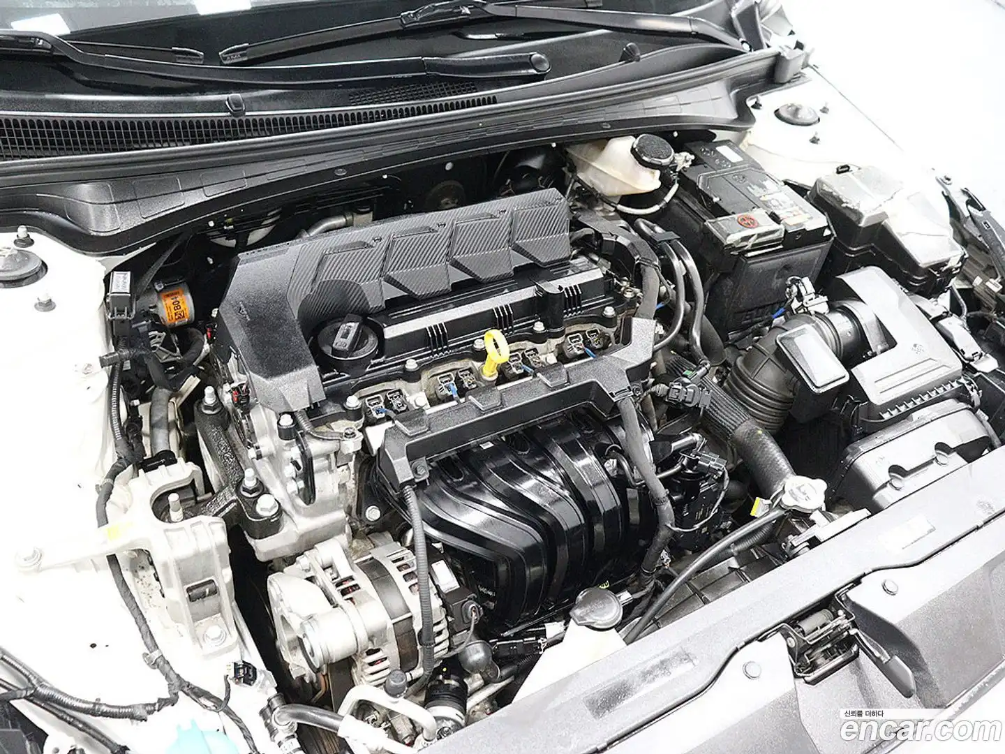 AVANTE Hyundai 2021.5-OPTION-023