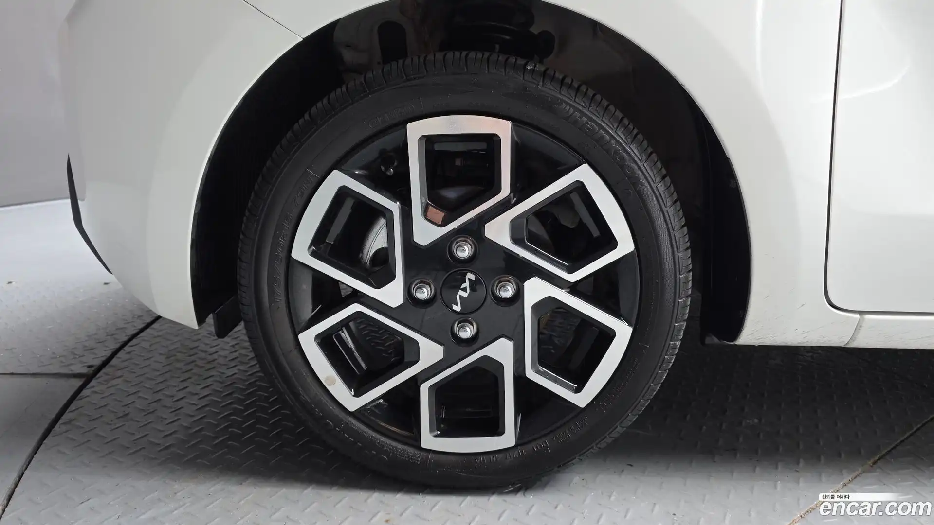 RAY Kia 2025.8-OUTER-005