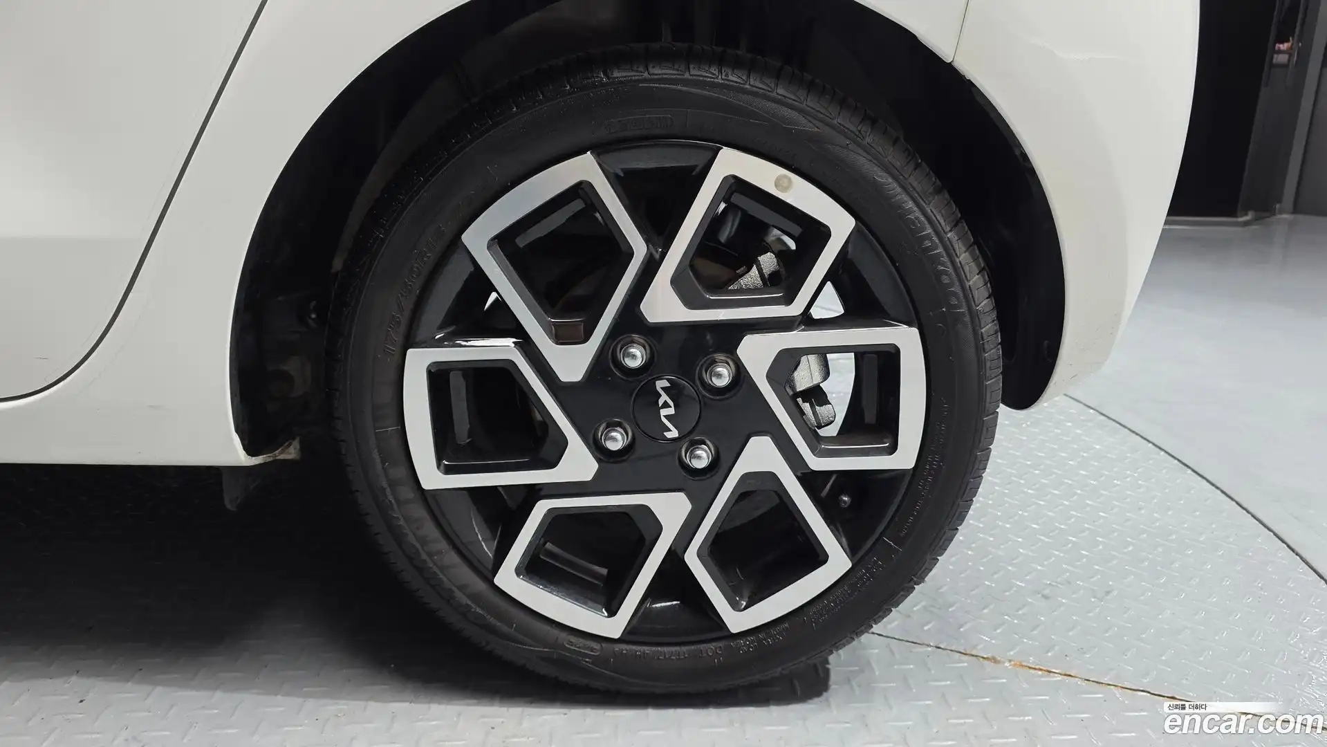 RAY Kia 2025.8-OUTER-031