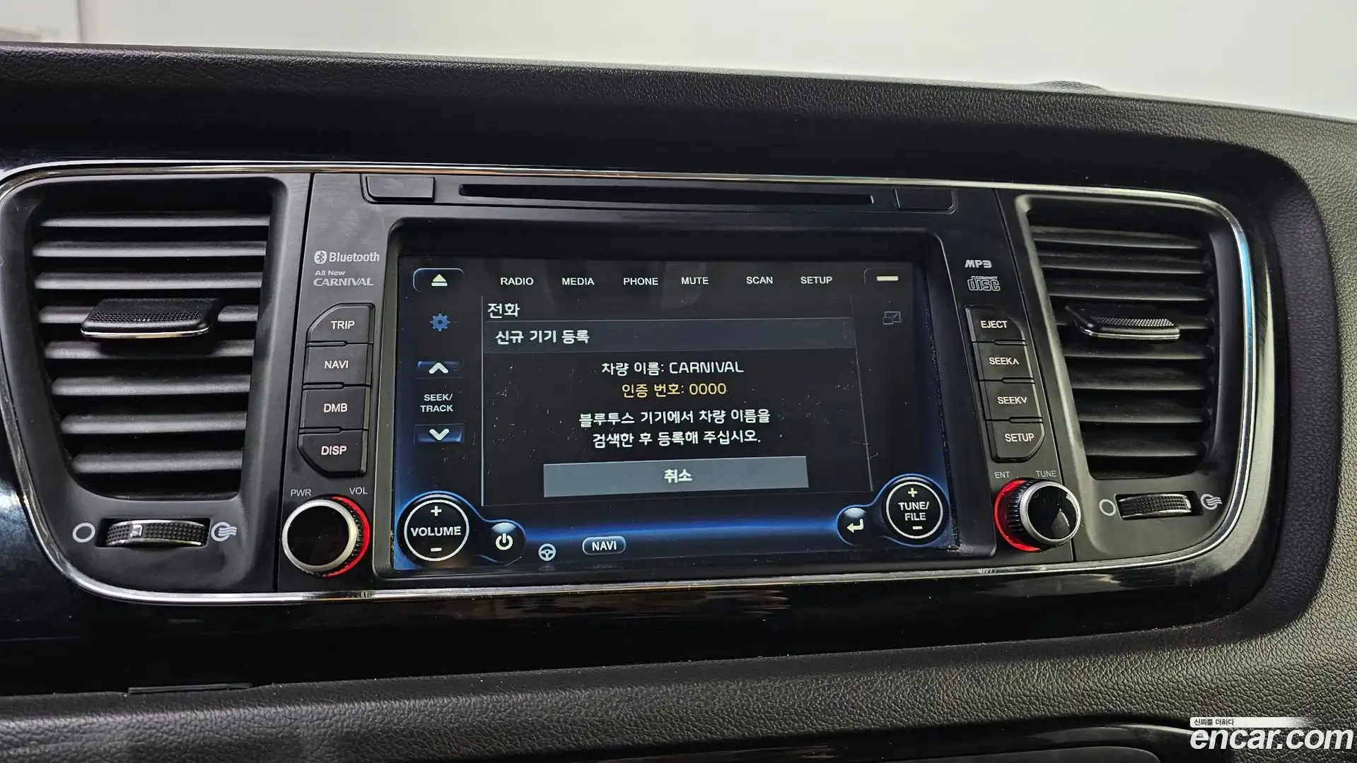 Canival Kia 2016.9-OPTION-020