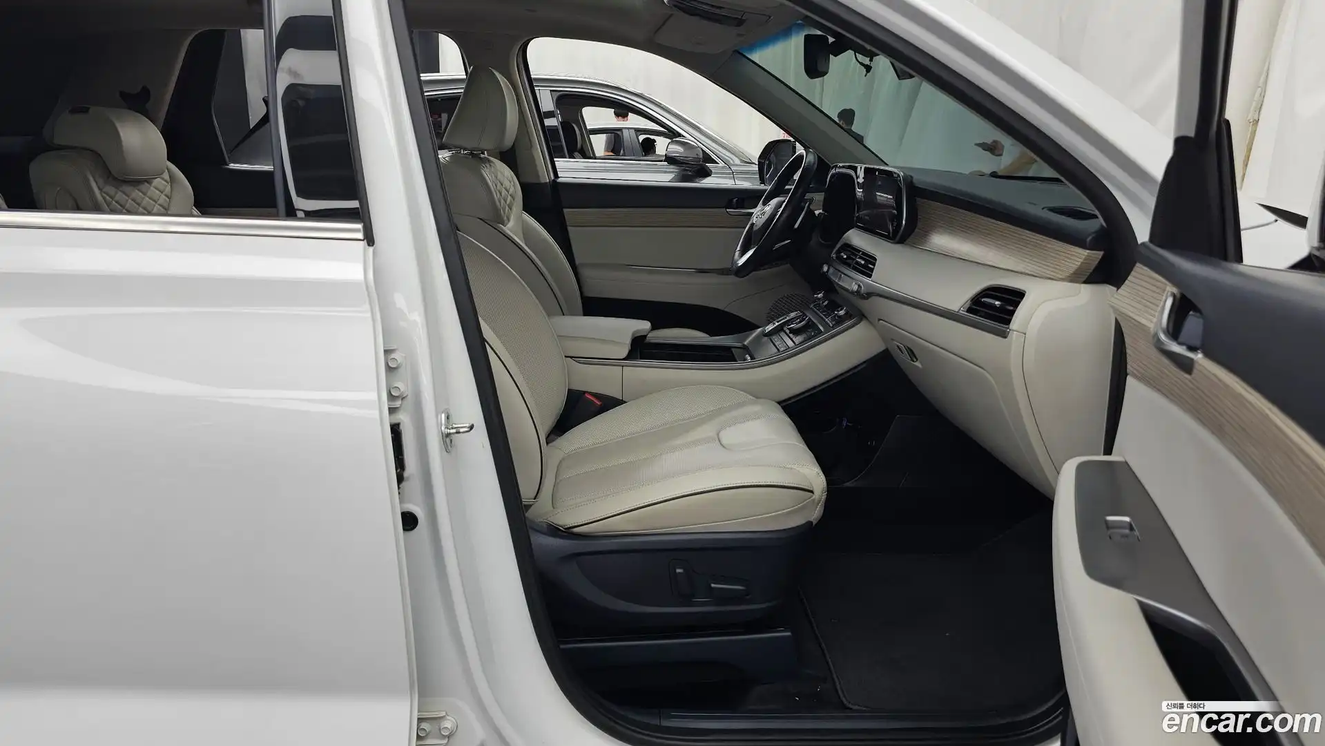 Palisade Hyundai 2019.10-OPTION-015