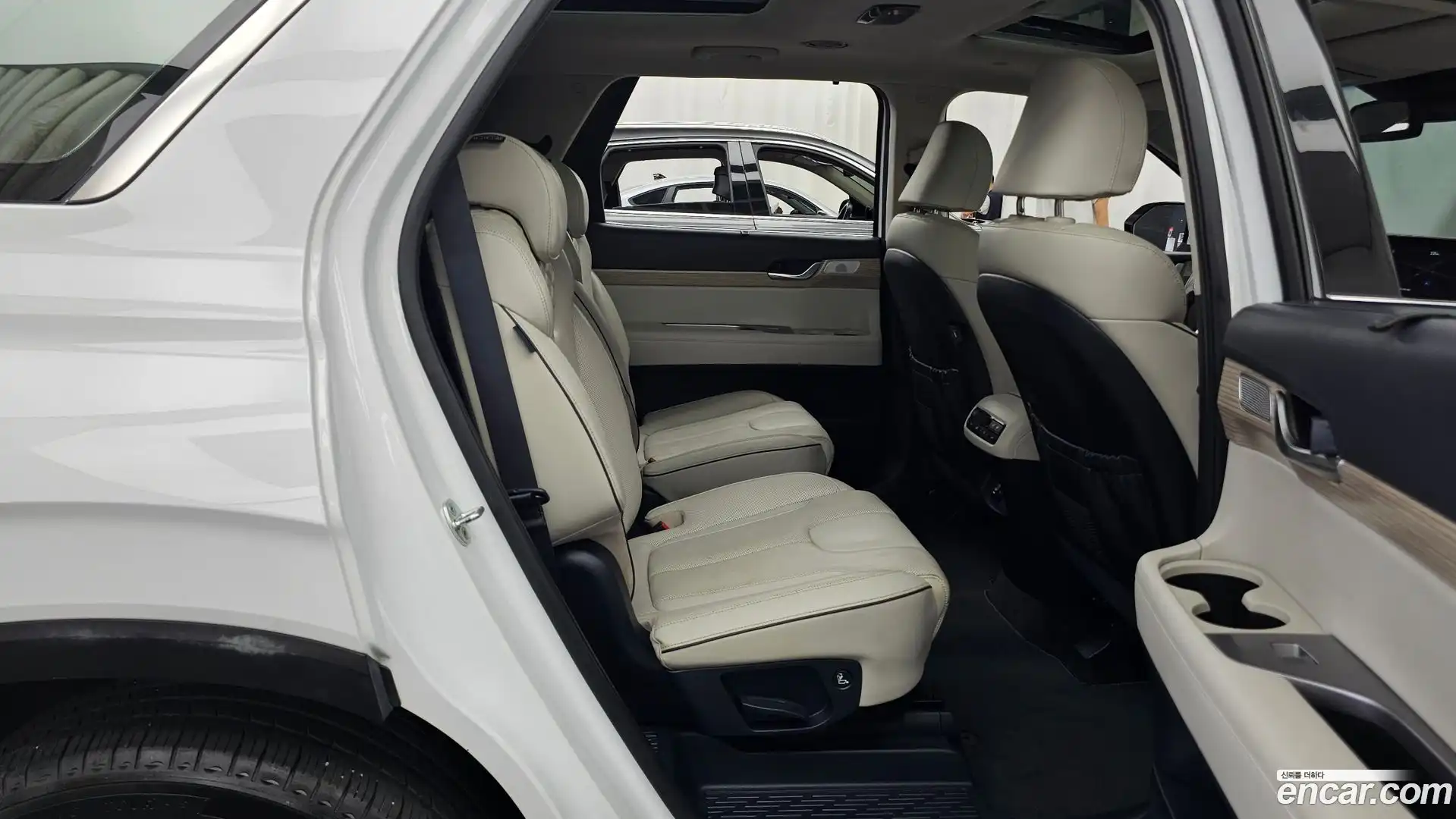 Palisade Hyundai 2019.10-OPTION-016