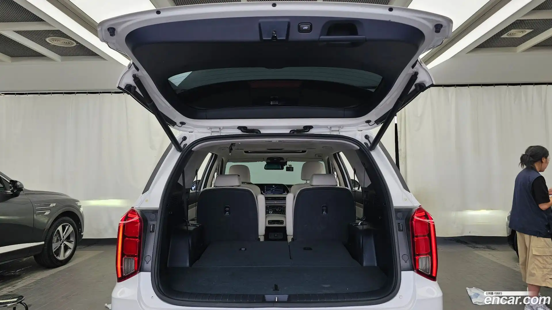 Palisade Hyundai 2019.10-OPTION-024