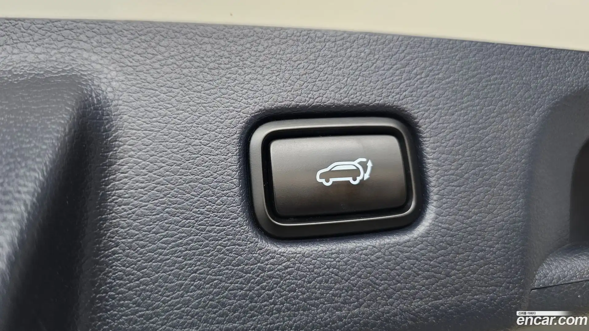 Palisade Hyundai 2019.10-OPTION-040