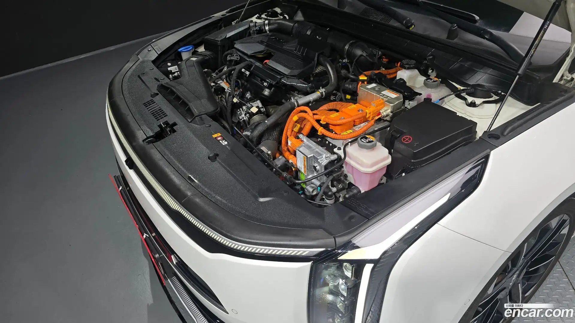 K8 Kia 2024.9-OUTER-006