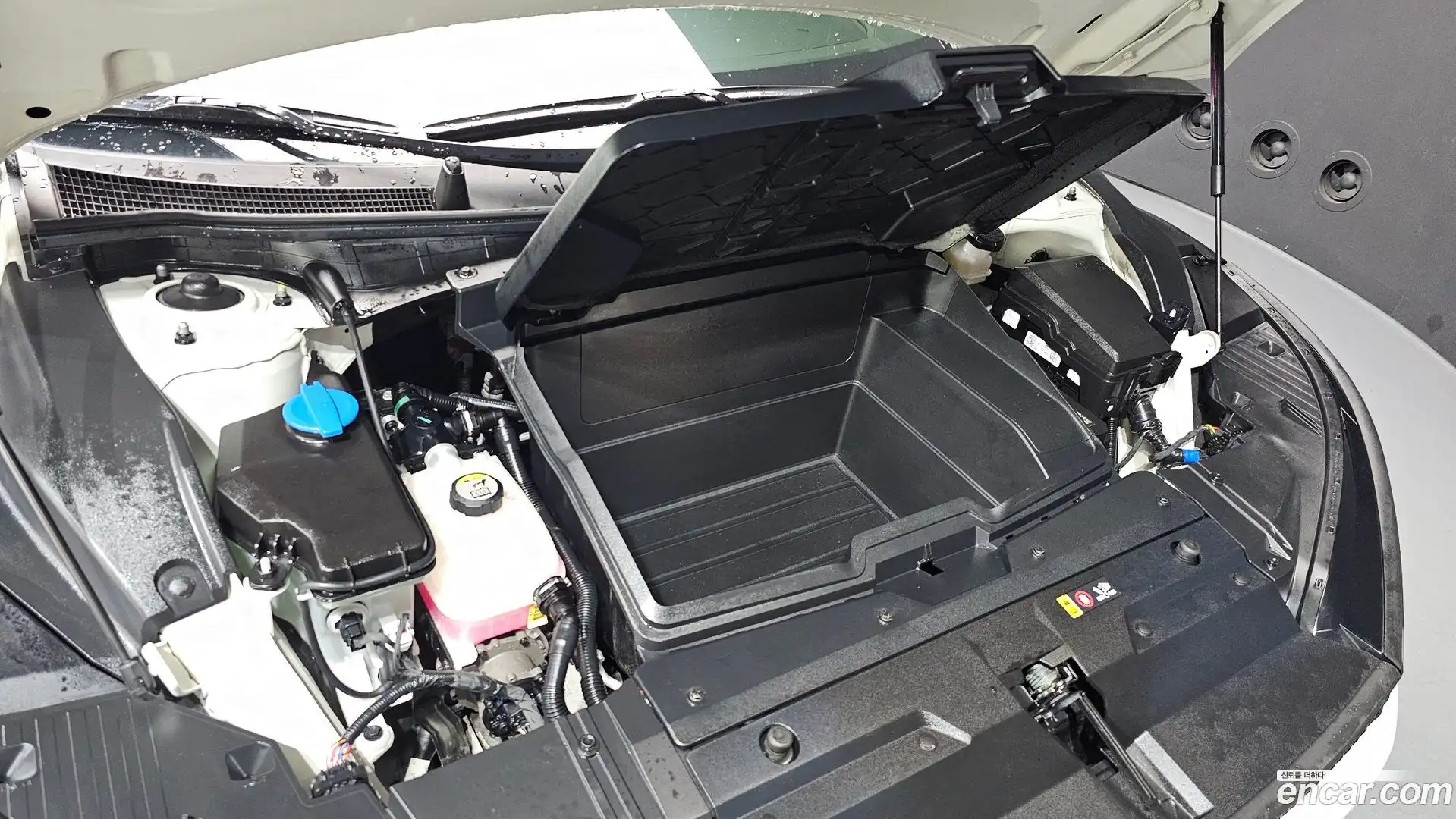 EV6 Kia 2024.5-OUTER-006