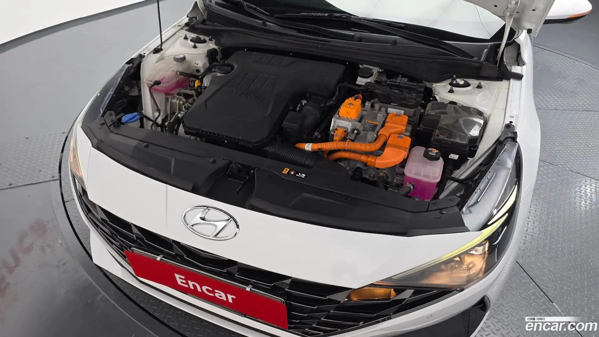 AVANTE Hyundai 2022.5-OUTER-006