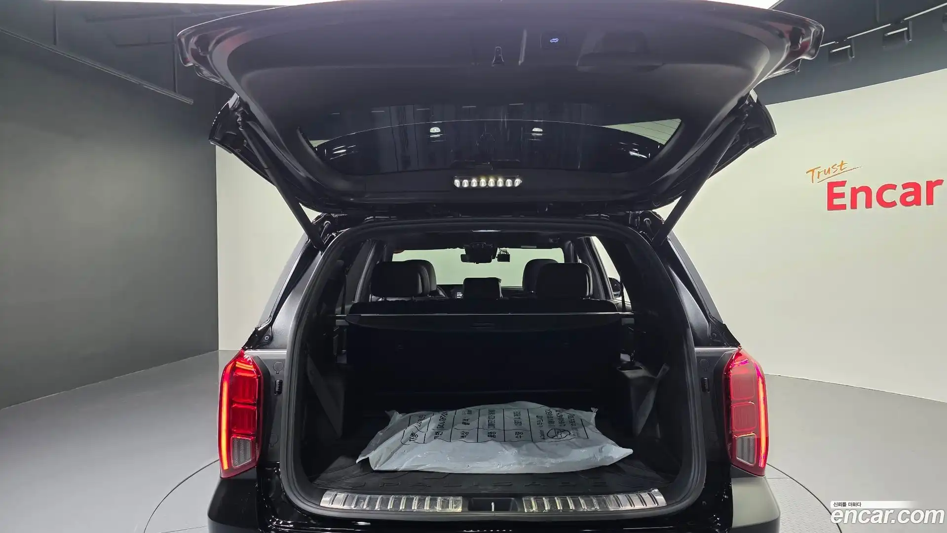 Palisade Hyundai 2024.6-OPTION-049