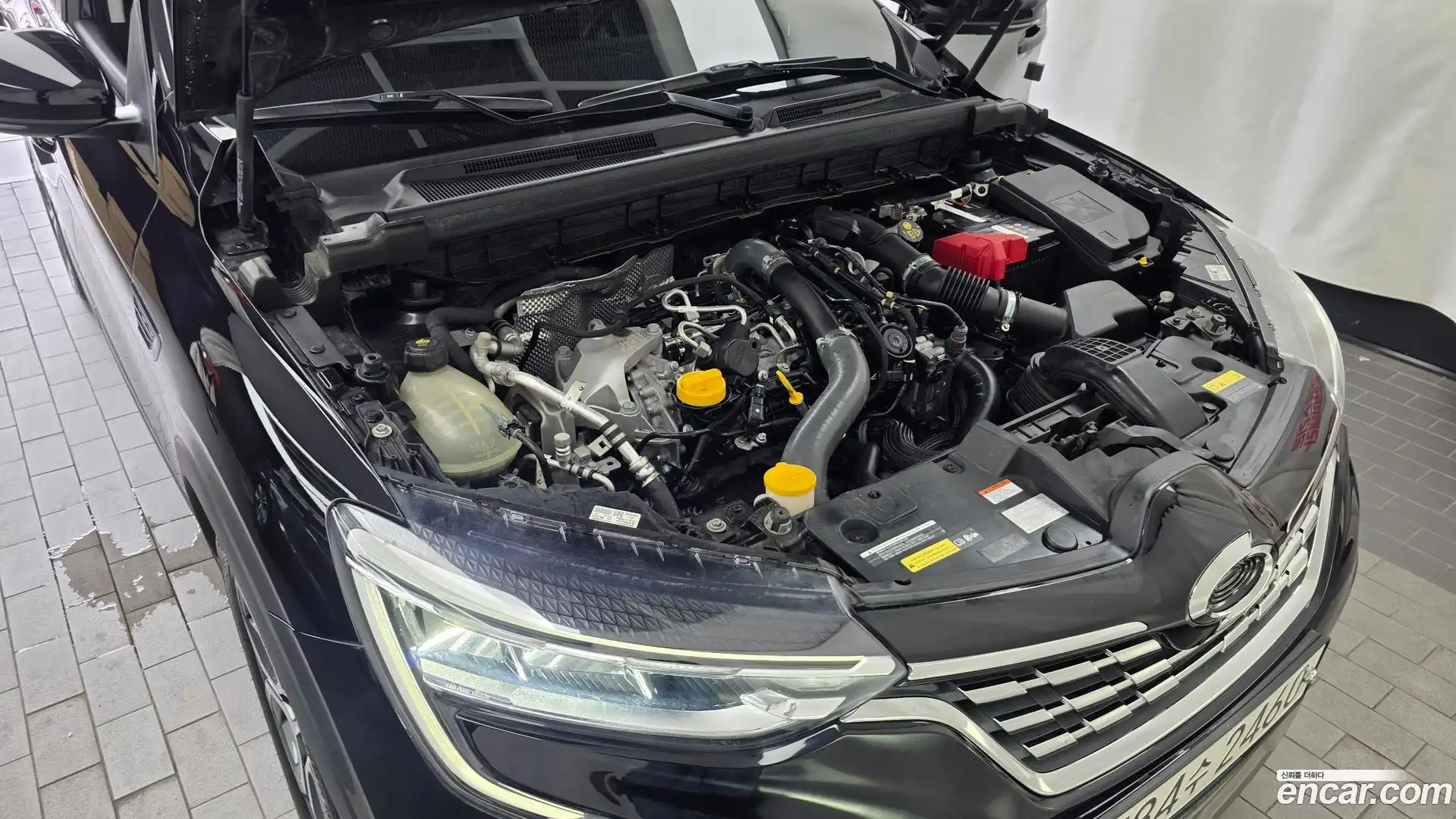 XM3 Renault Korea 2020.3-OUTER-006