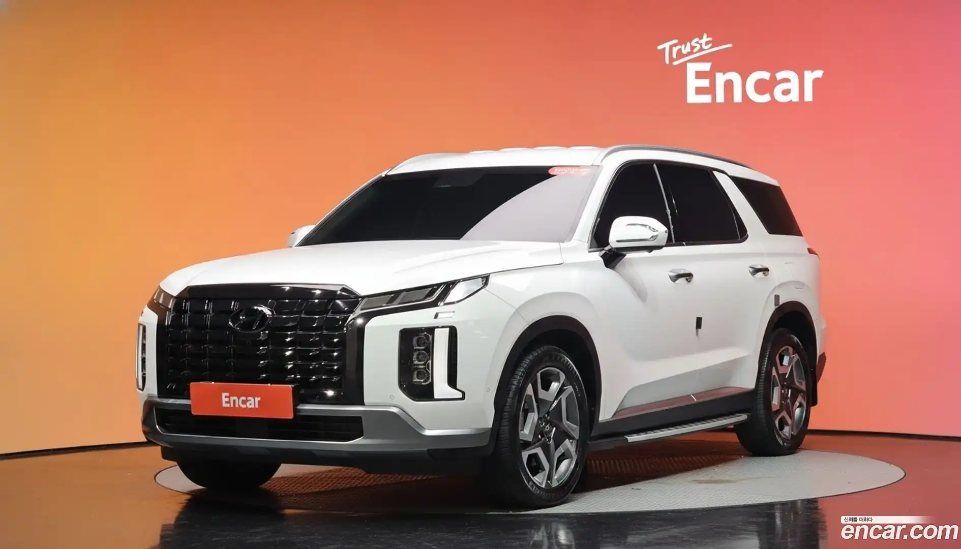 Palisade Hyundai 2024.1-DIAG2-001