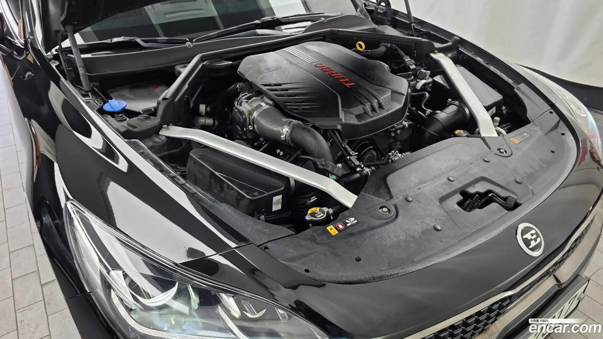 Stinger Kia 2018.6-OUTER-006