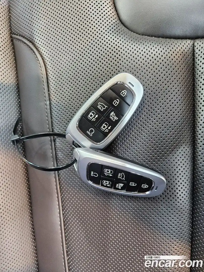 Palisade Hyundai 2023.10-OPTION-020