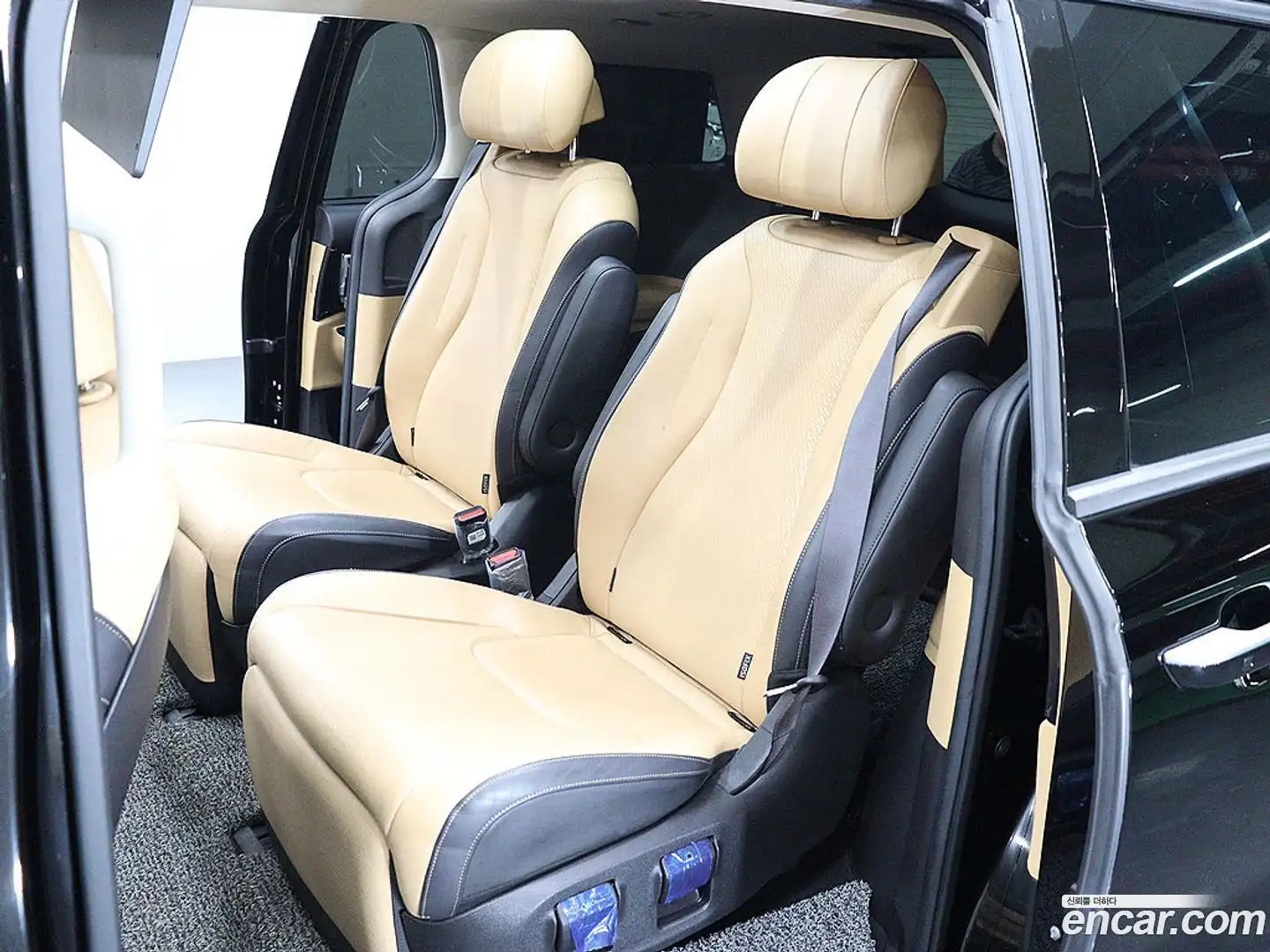 Canival Kia 2021.2-OPTION-015