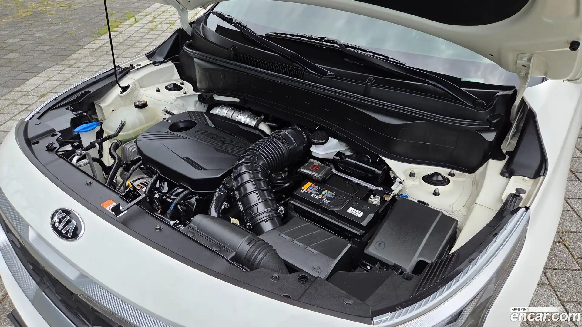 Seltos Kia 2019.9-INNER-010