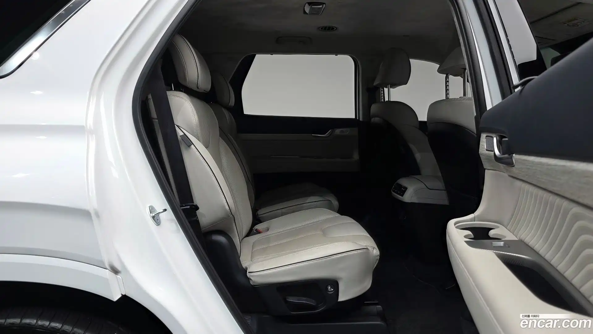 Palisade Hyundai 2023.1-OPTION-015