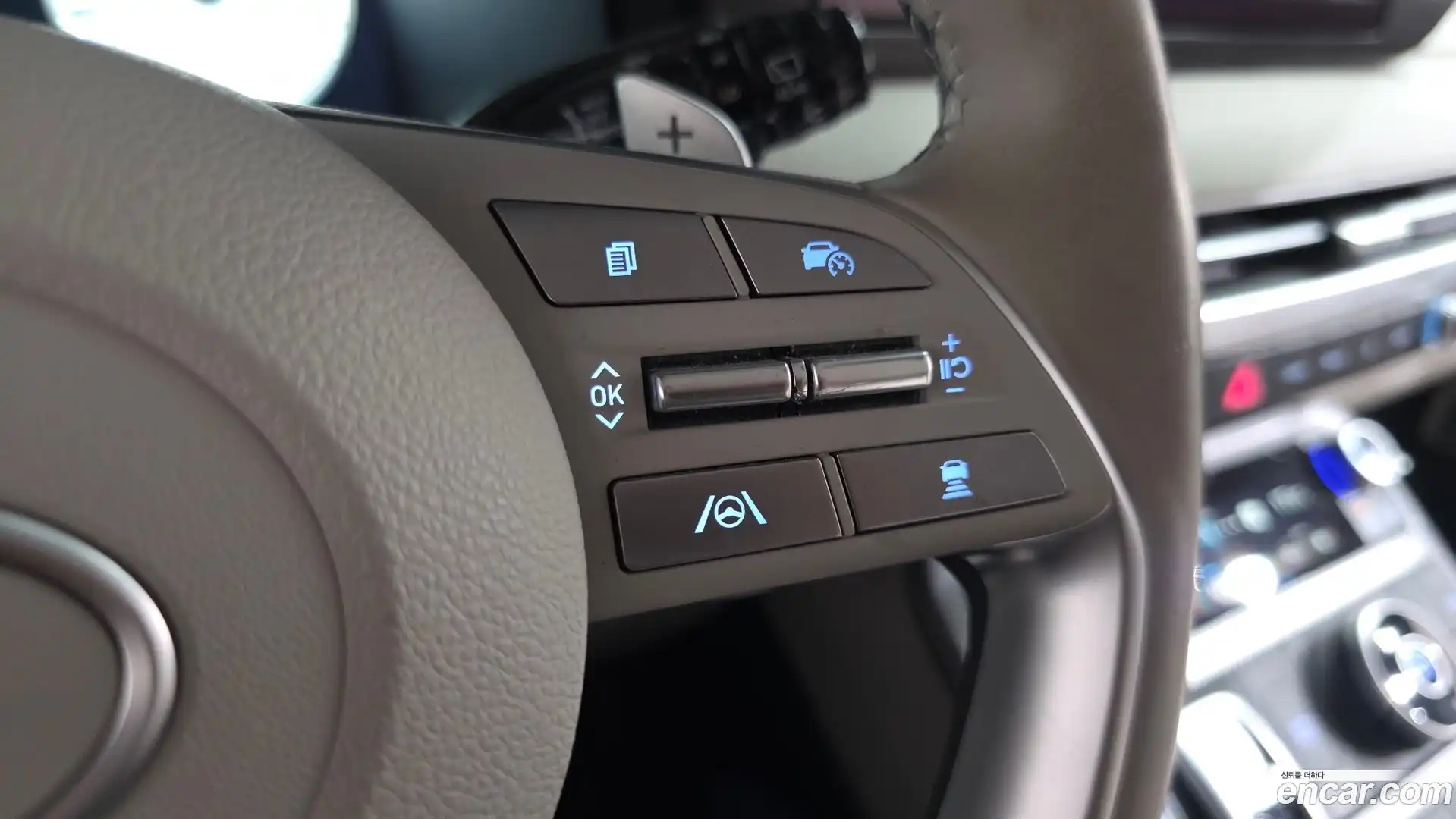 Palisade Hyundai 2023.1-OPTION-020