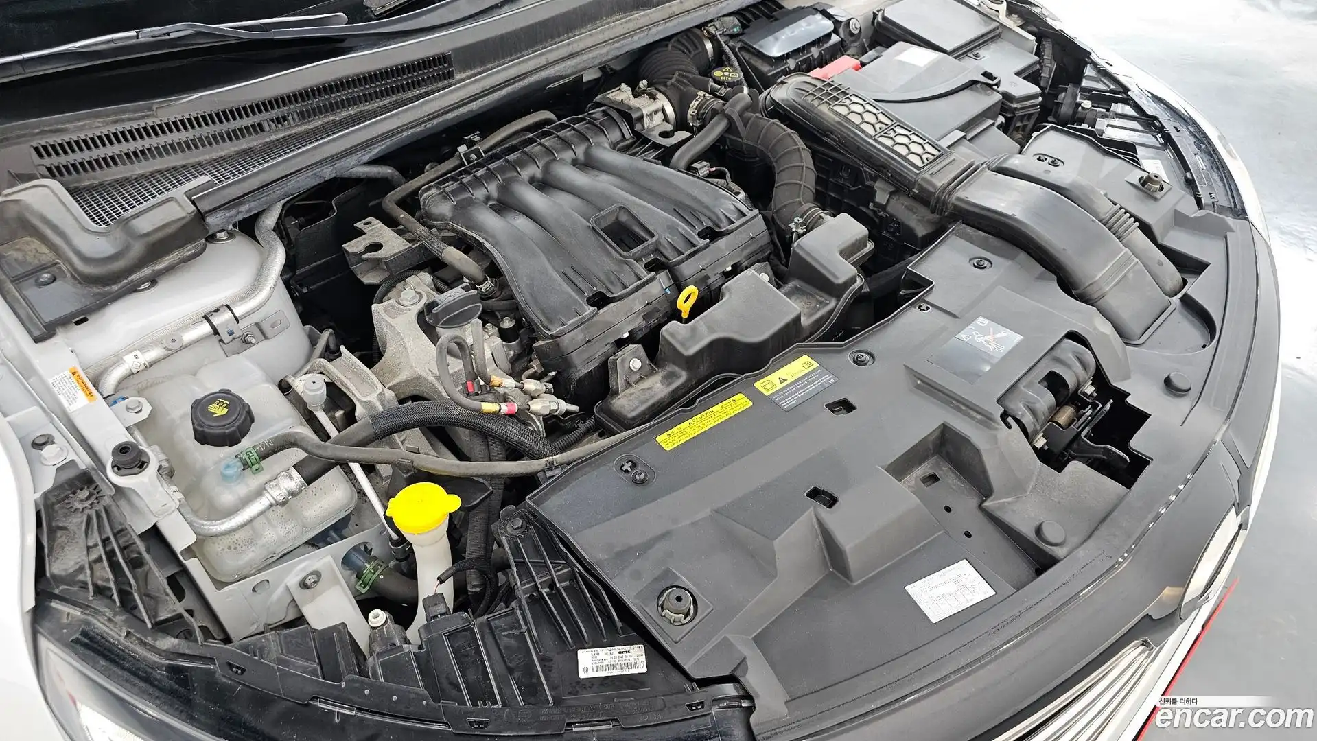 SM6 Renault Korea 2019.8-OUTER-006