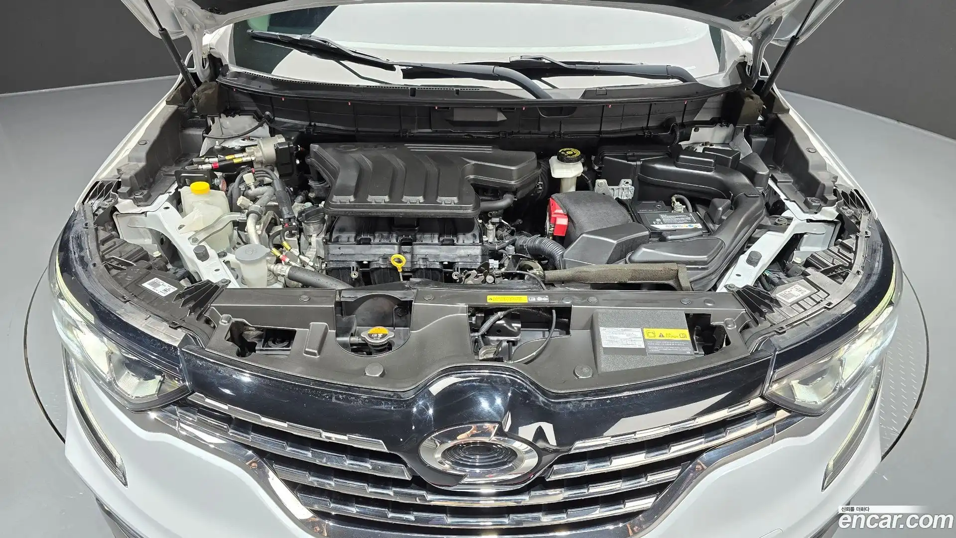 QM6 Renault Korea 2019.6-OUTER-006