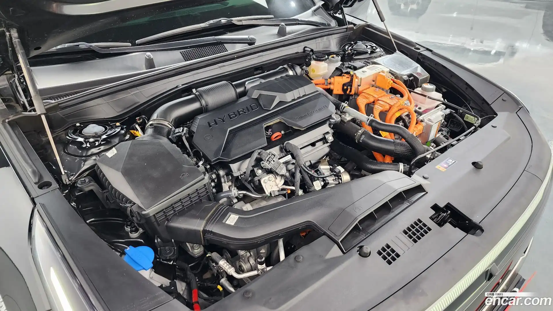 K8 Kia 2025.6-OUTER-006