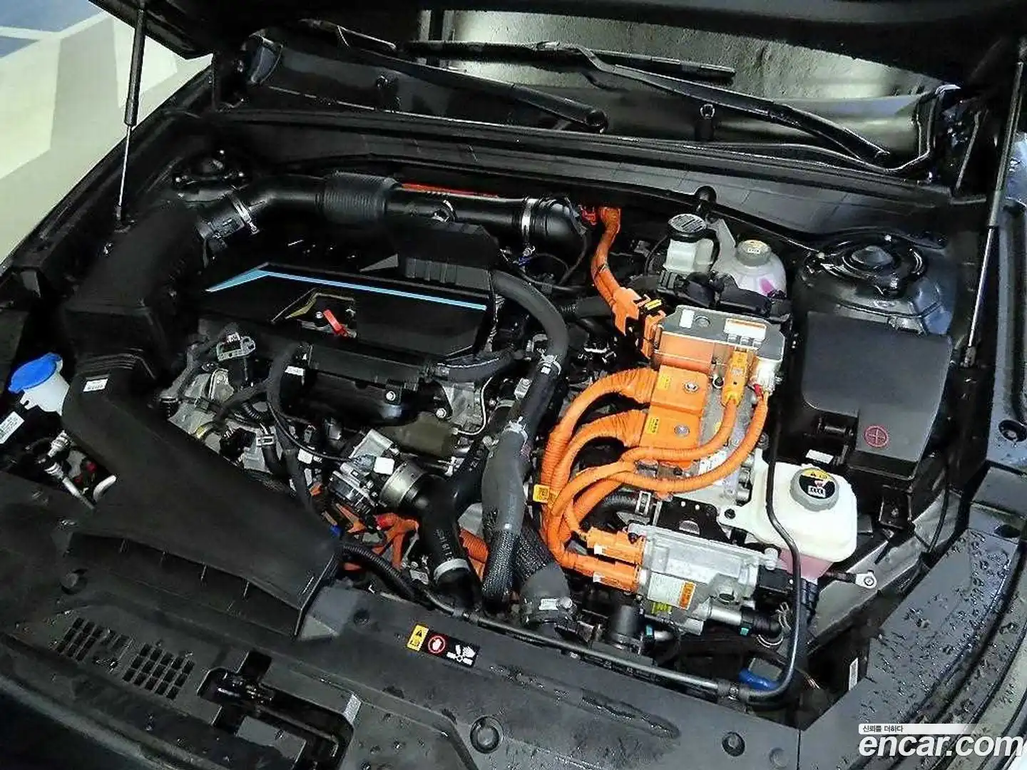 K8 Kia 2022.9-OPTION-023