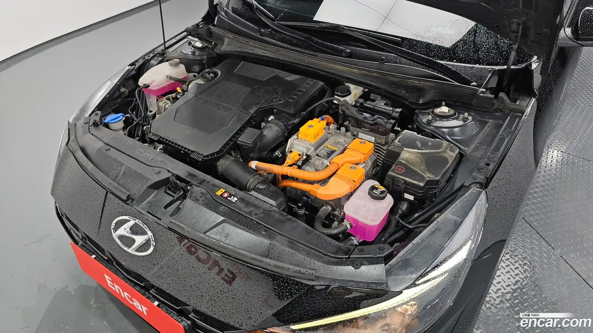 AVANTE Hyundai 2022.4-OUTER-006