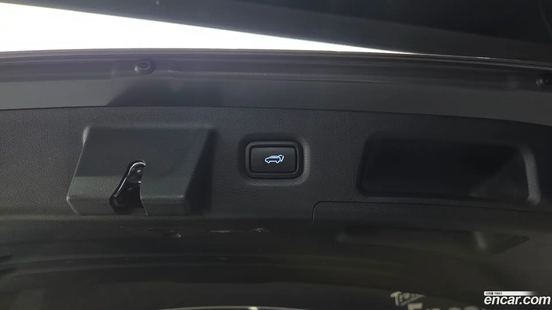 Santafe Hyundai 2021.10-OPTION-020