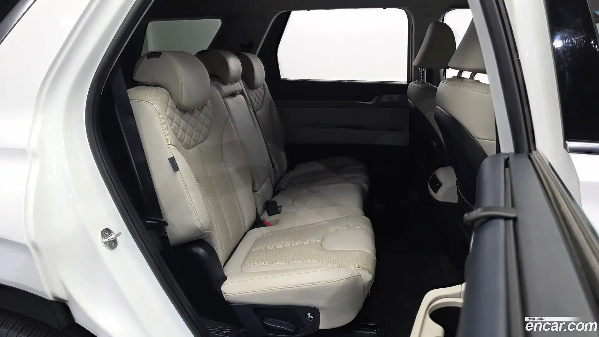 Palisade Hyundai 2021.8-OPTION-015