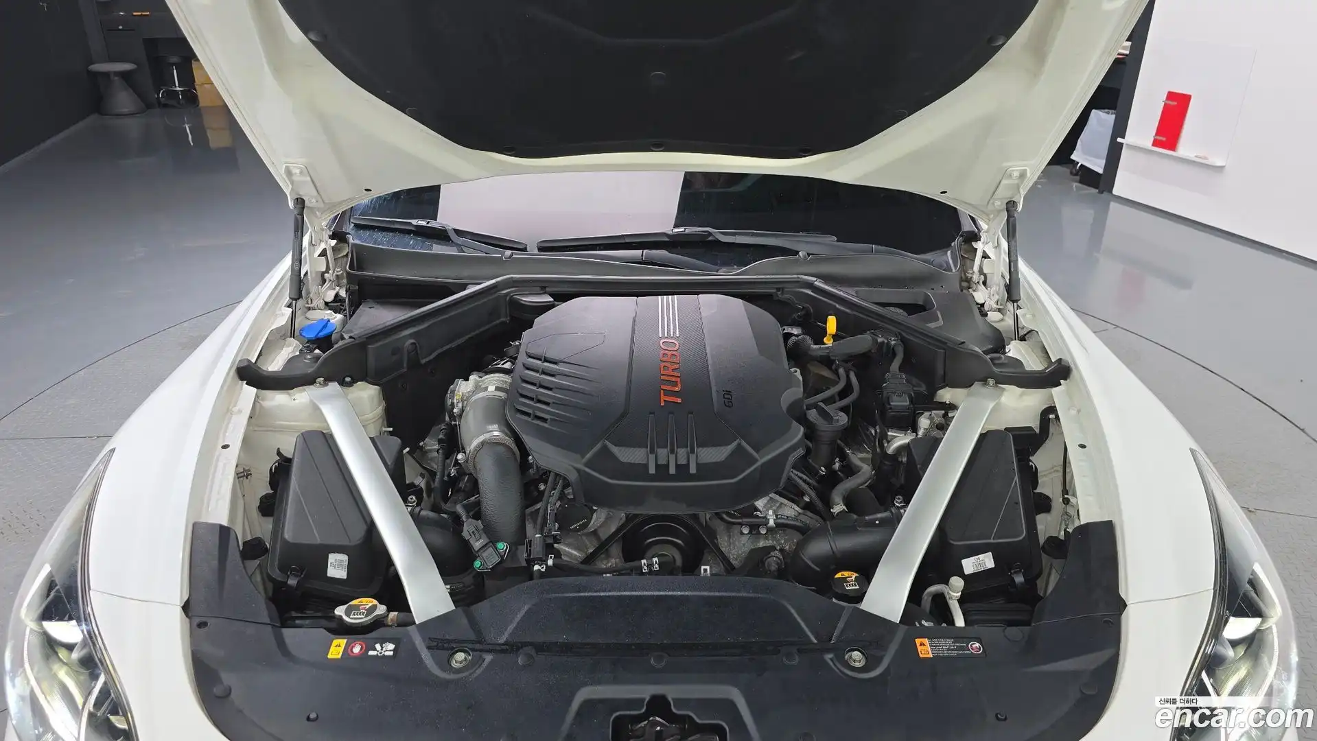 Stinger Kia 2018.6-OUTER-006