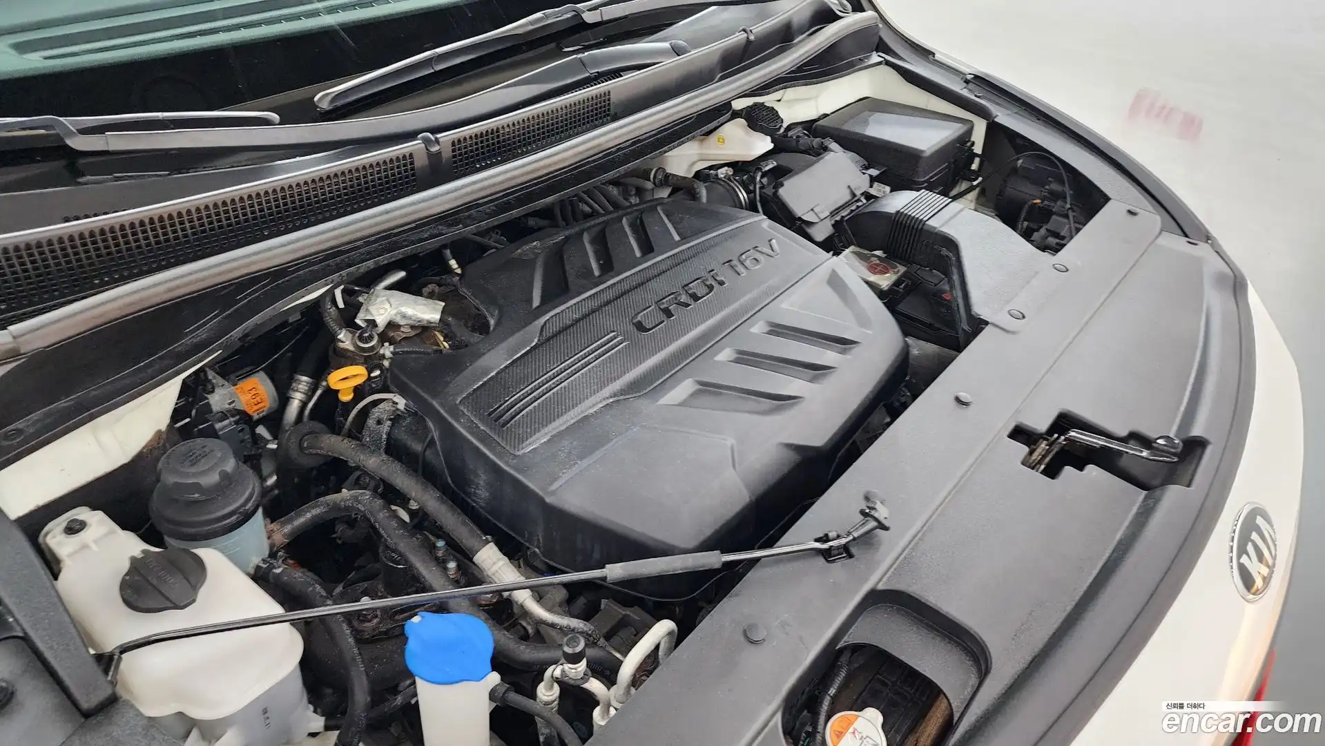 Canival Kia 2019.11-OUTER-006