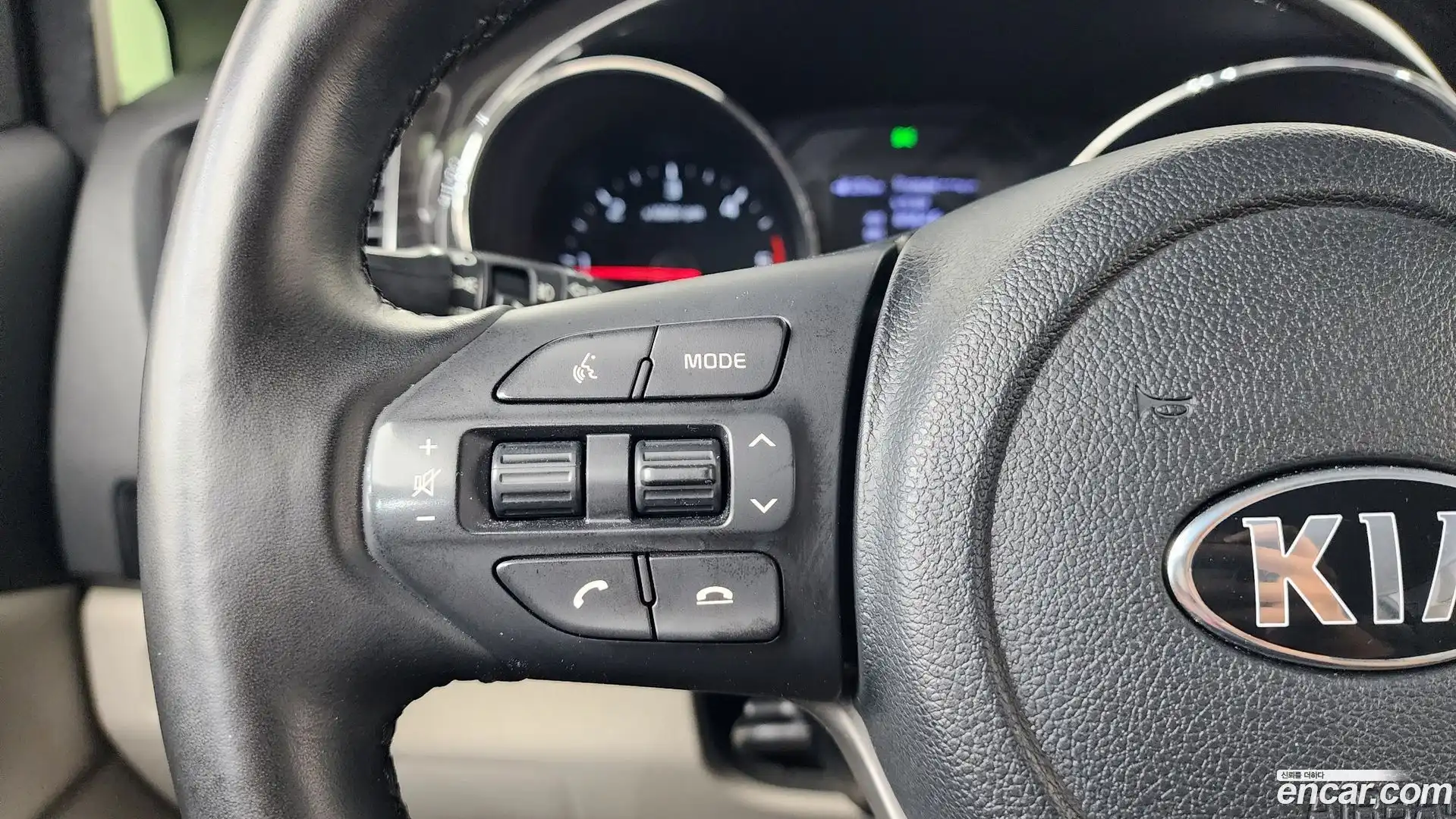 Canival Kia 2019.11-OPTION-022