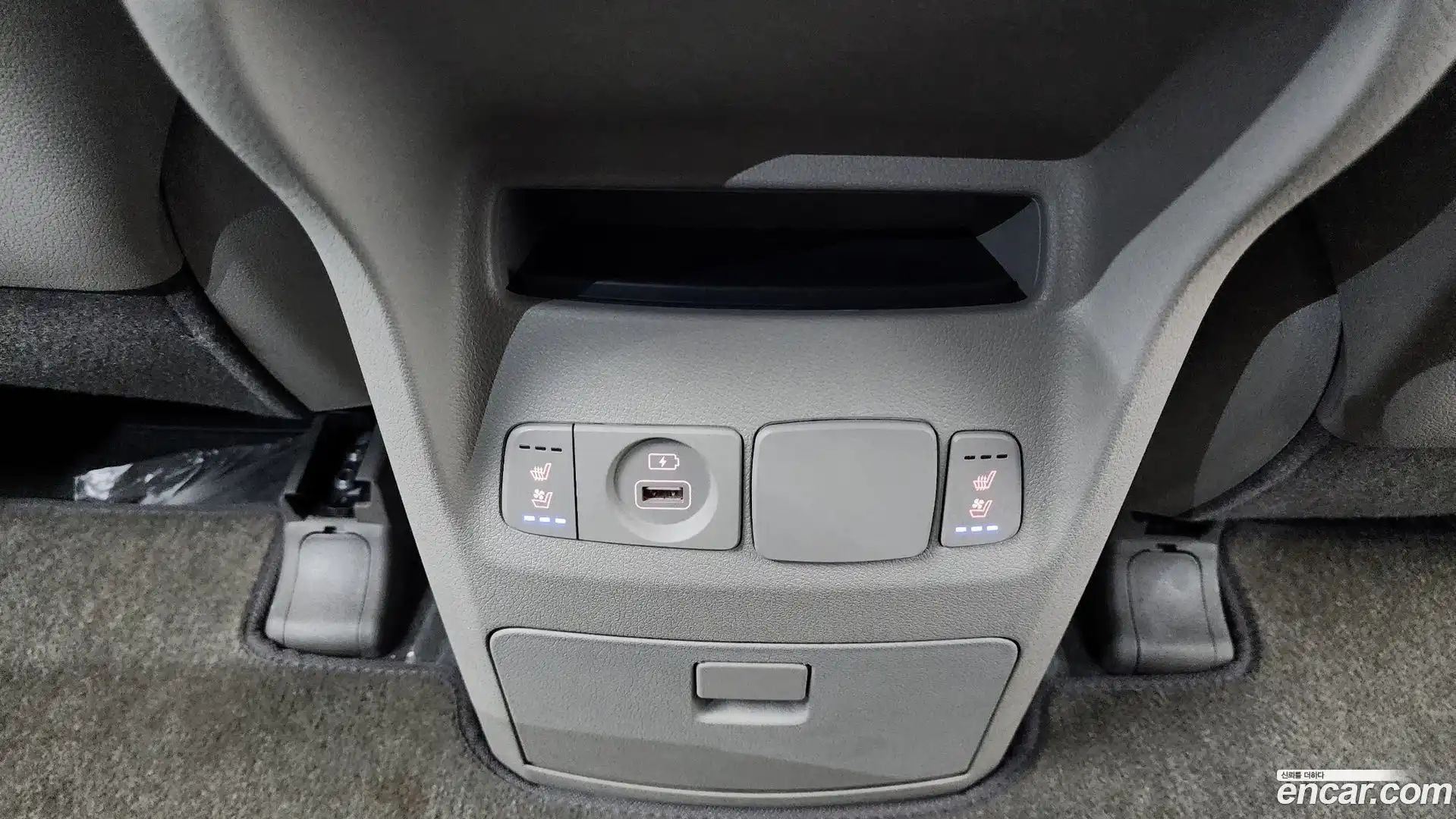 Canival Kia 2019.11-OPTION-044