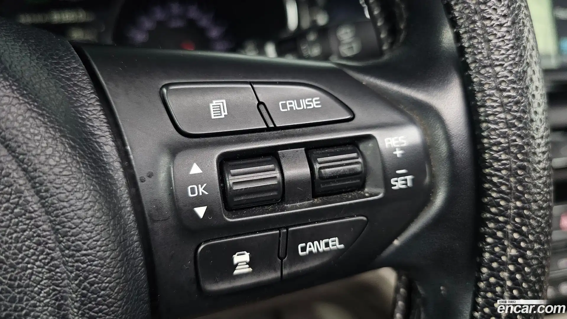 Canival Kia 2016.6-OPTION-017