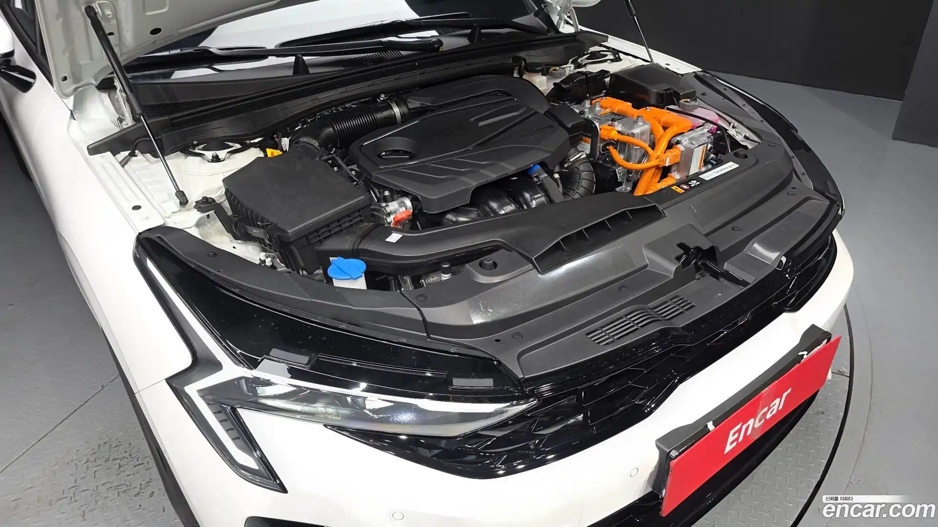 K5 Kia 2026.6-OUTER-006