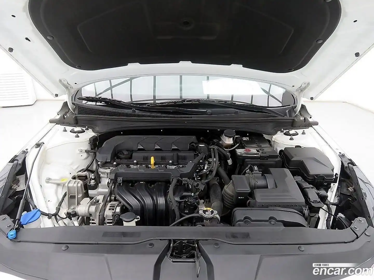 AVANTE Hyundai 2022.3-OPTION-017