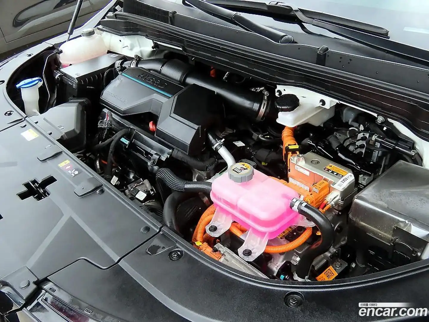 Canival Kia 2024.2-OUTER-006