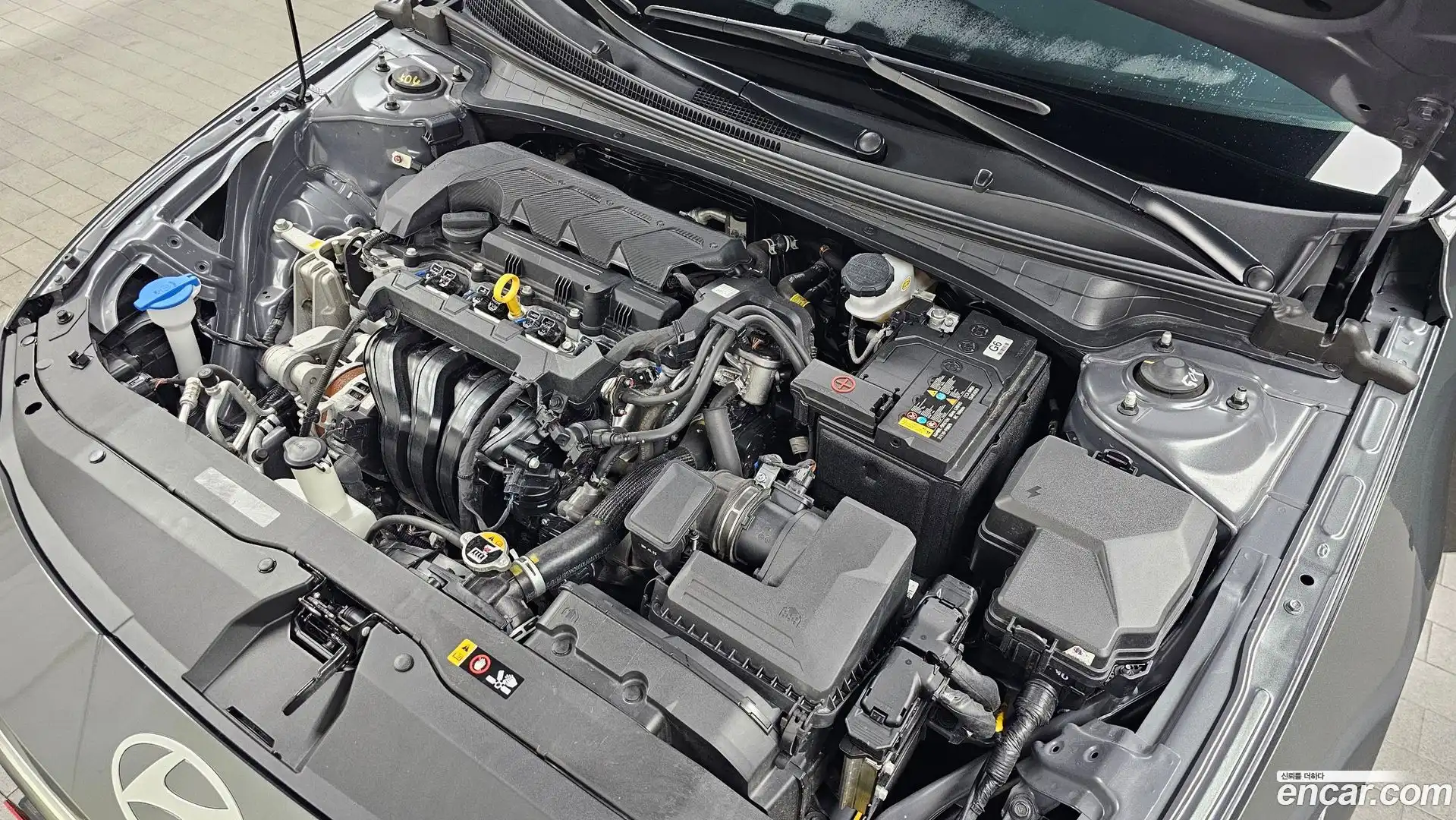 AVANTE Hyundai 2024.2-OUTER-006