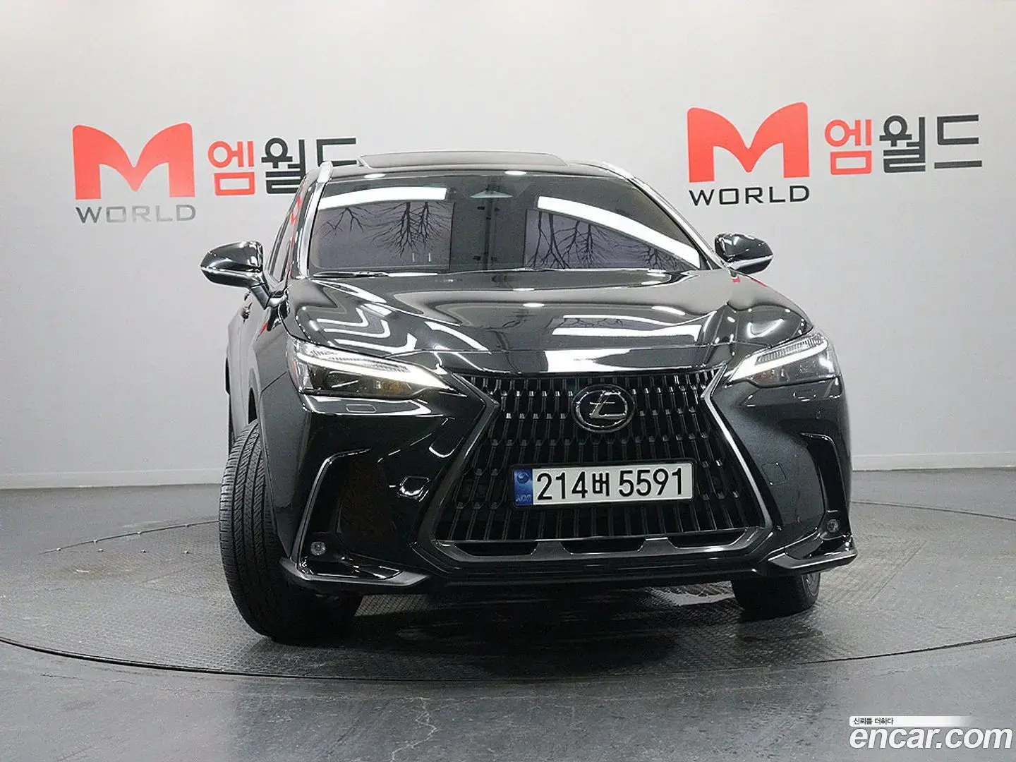 Main__Slider__Photo:NX Lexus 2025.2-1