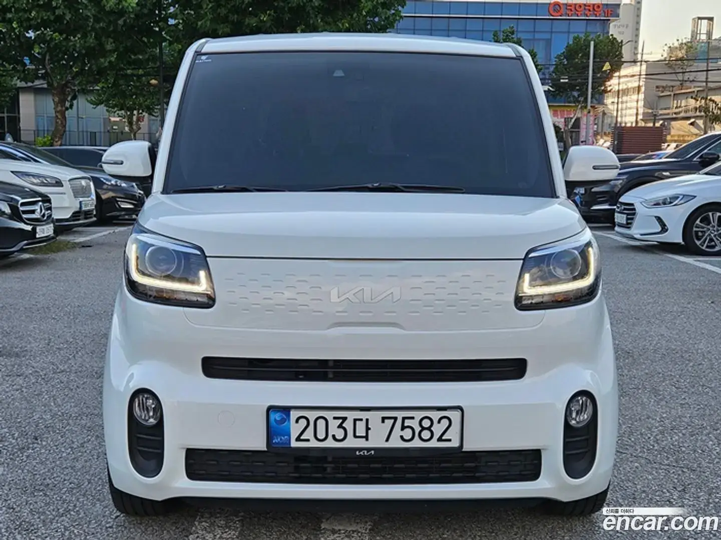 Main__Slider__Photo:RAY Kia 2021.8-1