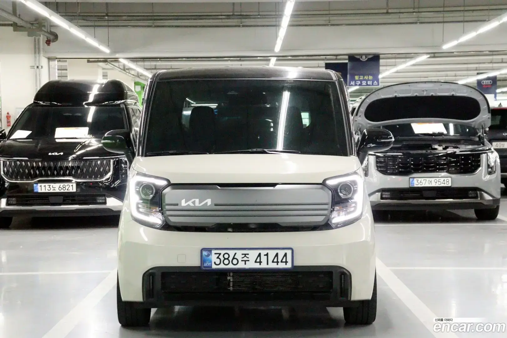 Main__Slider__Photo:RAY Kia 2025.1-1