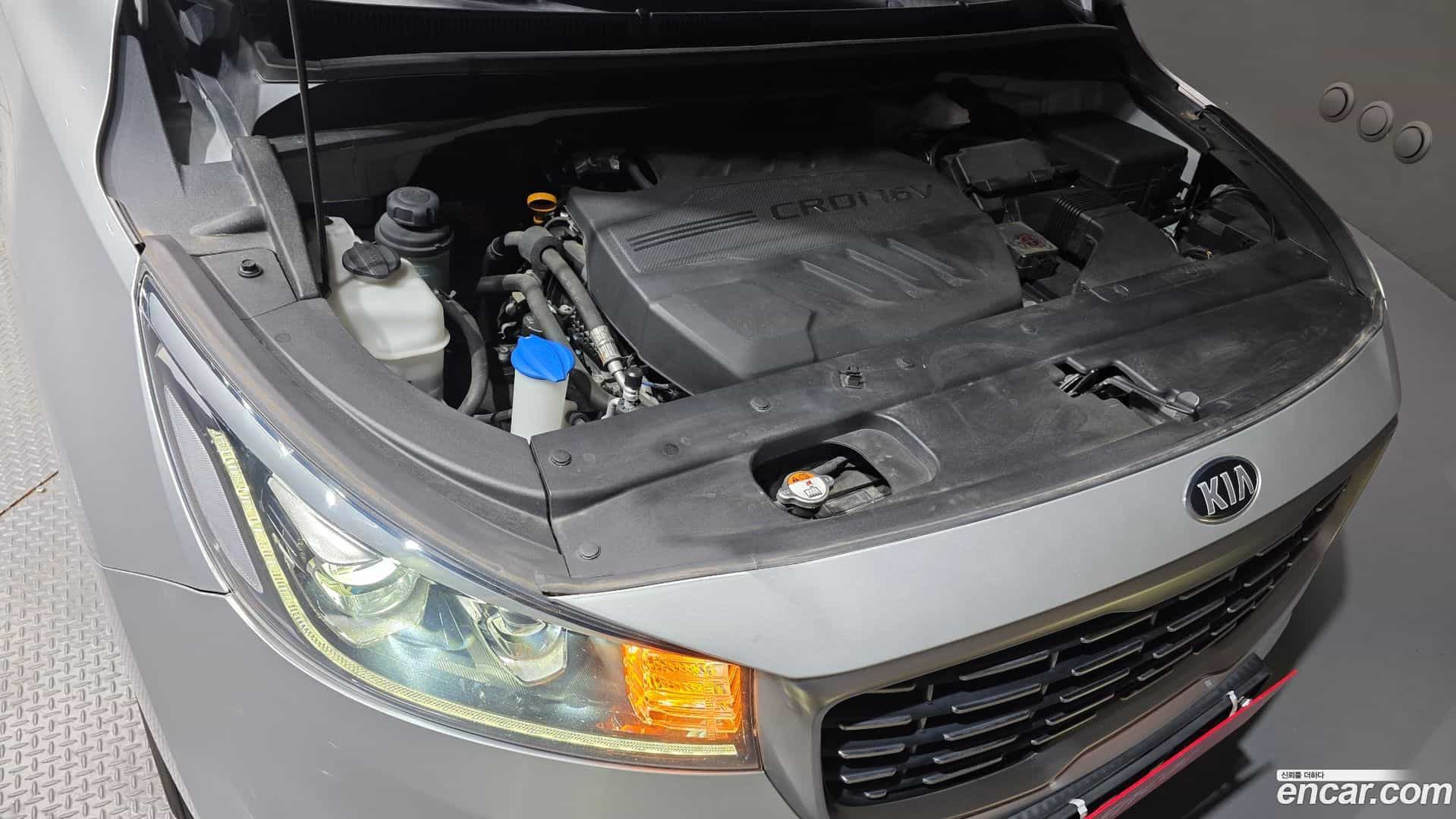 Canival Kia 2019.6-INNER-006