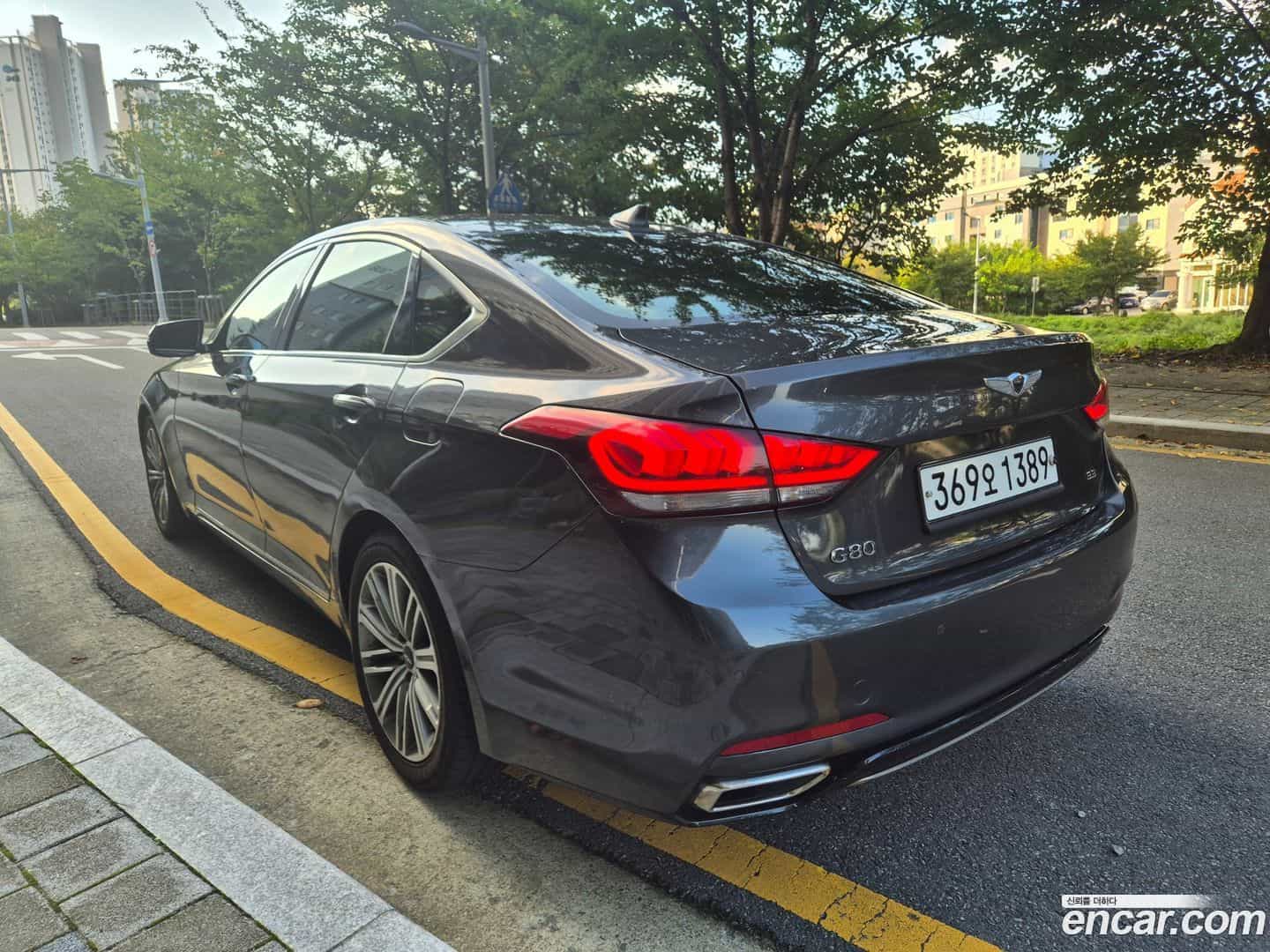 G80 Genesis 2017.6-OUTER-004