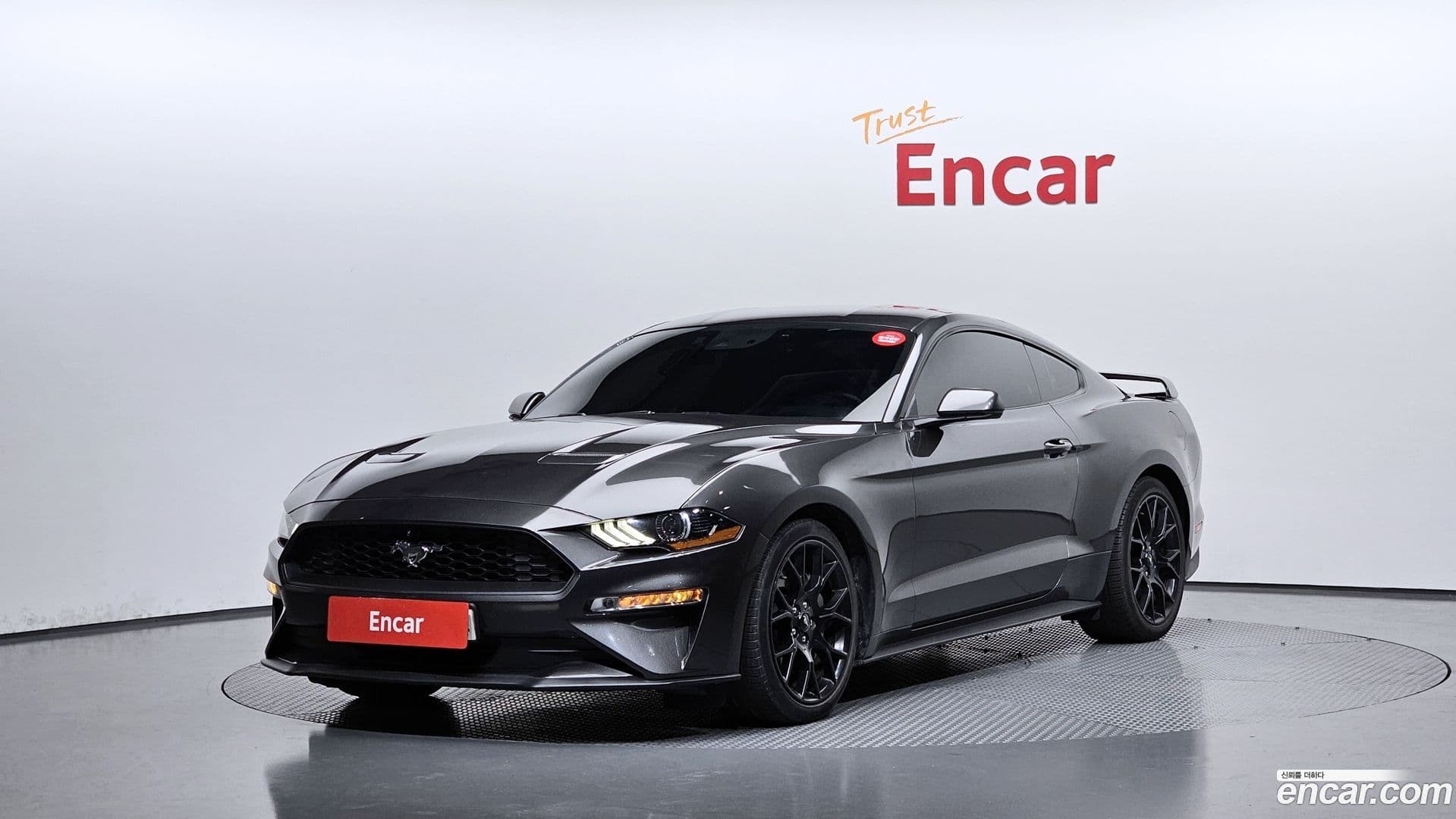 Main__Slider__Photo:Mustang Ford 2019.8-0