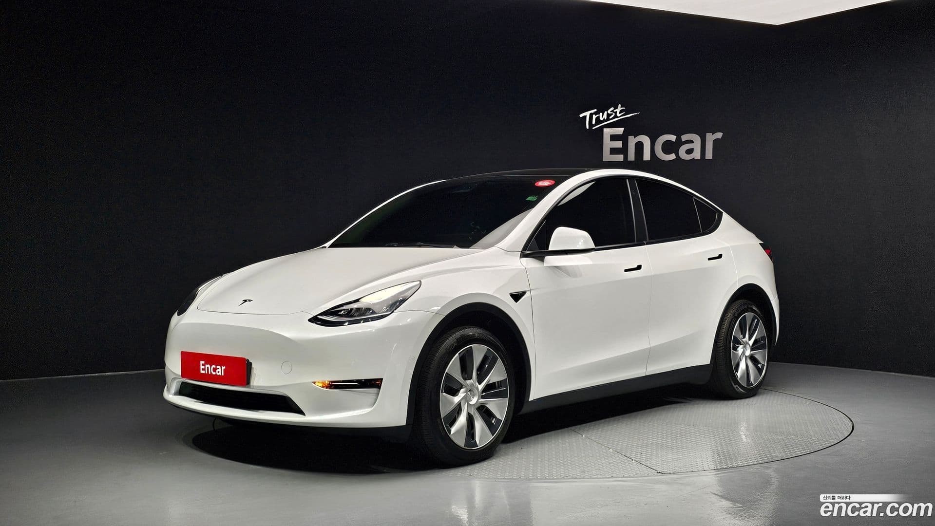 Main__Slider__Photo:Model Y Tesla 2021.8-0