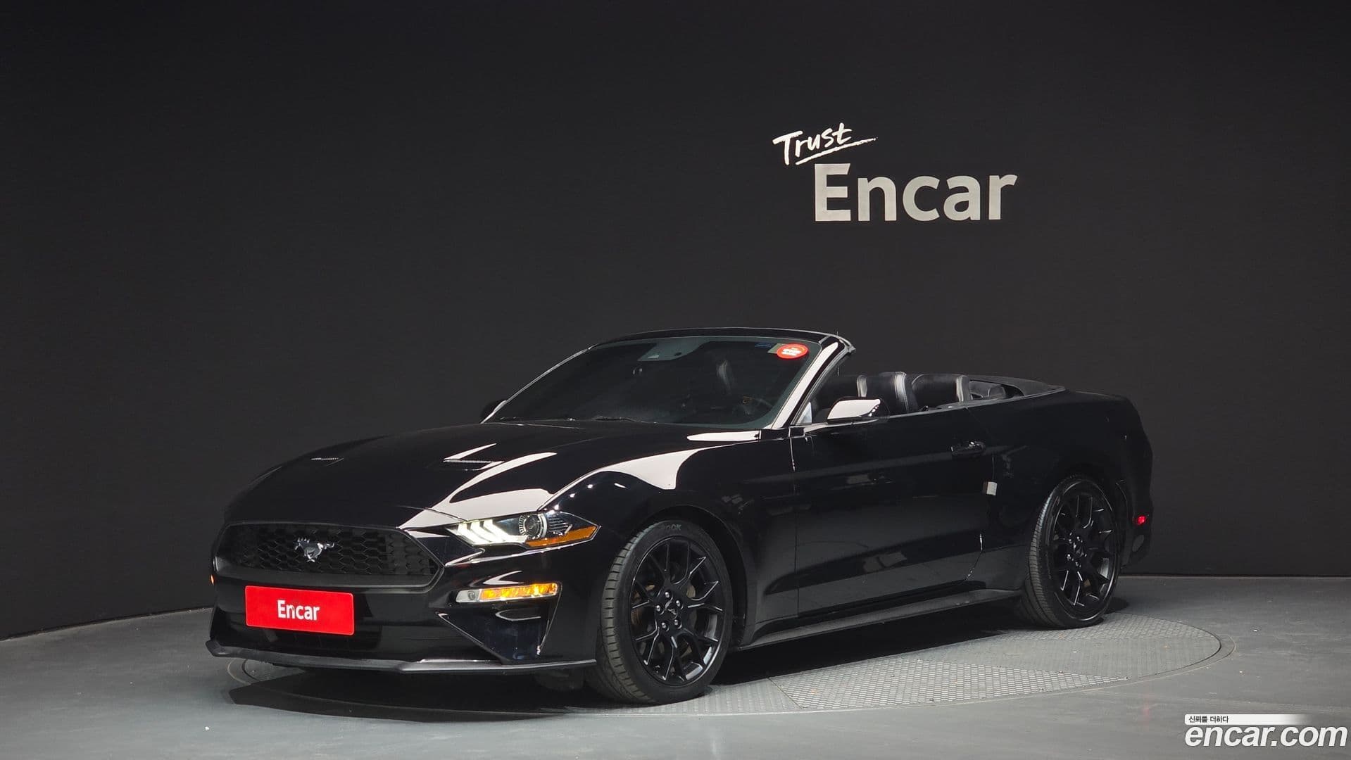 Main__Slider__Photo:Mustang Ford 2019.4-0